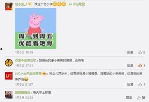 猪猪爆料视频,揭秘视频背后的惊人真相