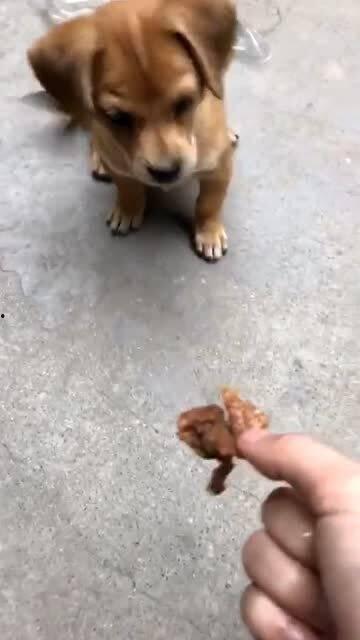 老二狗的外婆爆料视频在线观看